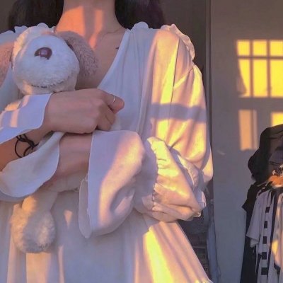 幼狮王朝